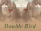 Double Bird เกมออนไลน์