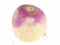 Turnip เกมออนไลน์