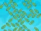 Save Seafood เกมออนไลน์
