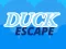Duck Escape เกมออนไลน์