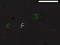 Bad Timing เกมออนไลน์