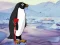 Heal the Wounded Penguin เกมออนไลน์
