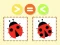 Kids Quiz: More Or Fewer เกมออนไลน์