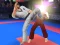 Karate Fighter เกมออนไลน์
