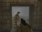 Silent Asylum 2 เกมออนไลน์