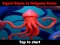 Squid Game In Dalgona Panic เกมออนไลน์
