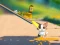 Cat Challenge เกมออนไลน์