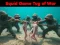 Squid Game Tug Of War เกมออนไลน์