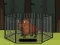 Rescue the Bison from Cage เกมออนไลน์