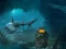 Jumping Dolphin Rescue เกมออนไลน์