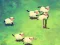 Shleep เกมออนไลน์