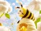 Find The Differences: Little Bee's Adventure เกมออนไลน์