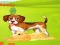 Bunny Key Quest เกมออนไลน์