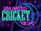 Unlimited Cricket Night เกมออนไลน์