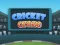 Cricket Craze เกมออนไลน์