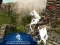 Ertugrul Gazi Horse Sim เกมออนไลน์