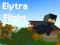 Elytra Flight เกมออนไลน์