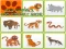 Wild Animals Kids Memory game เกมออนไลน์