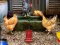 Poultry Farm Easter Escape เกมออนไลน์