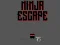 Ninja escape เกมออนไลน์