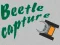 Beetle Capture เกมออนไลน์
