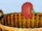 Harvesting เกมออนไลน์