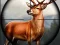 Animal Safari Hunter 2020 เกมออนไลน์