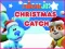 Nick Jr. Christmas Catch เกมออนไลน์