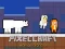 PixelCraft Animal School เกมออนไลน์