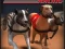 Greyhound Racing เกมออนไลน์