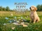 Playful Puppy Outdoor Puzzle เกมออนไลน์