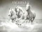 Horses Puzzle เกมออนไลน์