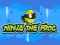 Ninja the Frog เกมออนไลน์