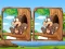 Jungle 5 Diffs เกมออนไลน์