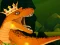 The Dino King เกมออนไลน์