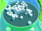 Roller Magnet เกมออนไลน์
