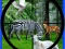 Real Jungle Animals Hunting เกมออนไลน์