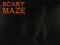 Scary Maze เกมออนไลน์