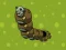 Zombie Worms เกมออนไลน์