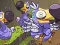 Save The Dodos เกมออนไลน์