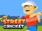 Street Cricket เกมออนไลน์