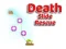 Death Slide Rescue เกมออนไลน์