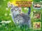 Kittens Jigsaw เกมออนไลน์