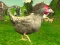 Chicken Shooter เกมออนไลน์