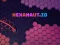 Hexanaut.io เกมออนไลน์