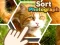 Sort Photograph เกมออนไลน์