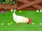 Stupid Chicken เกมออนไลน์
