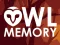 Owl Memory เกมออนไลน์