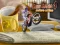 Bike Mania 4 Micro Office เกมออนไลน์