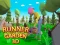 Runner Garden 3d เกมออนไลน์